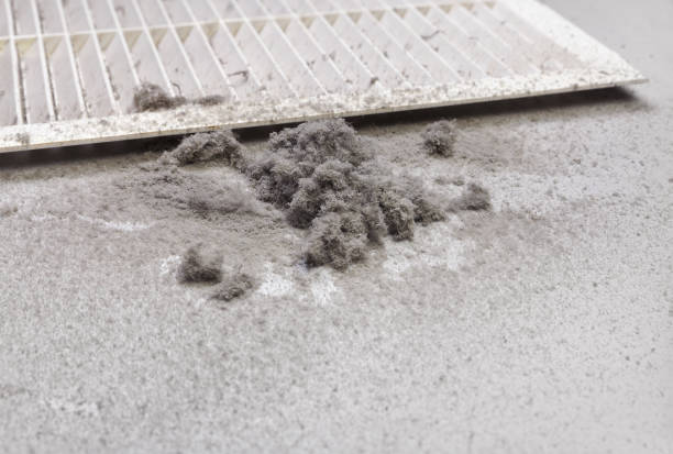 Best Ductwork Cleaning Services  in Burke, VA
