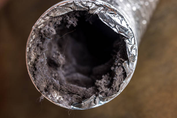 Best Ventilation Cleaning Services  in Burke, VA