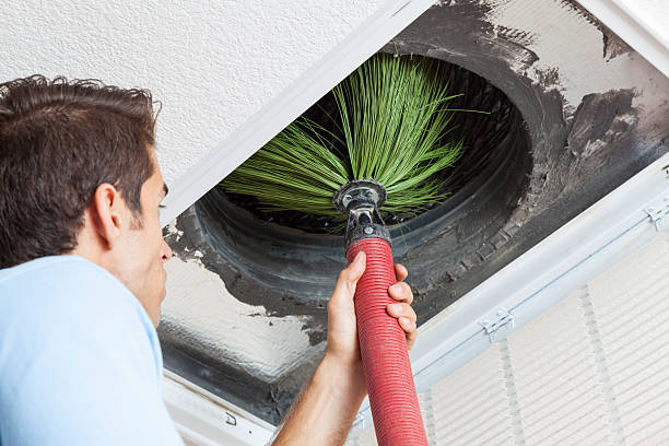 Best Emergency Air Duct Cleaning  in Burke, VA